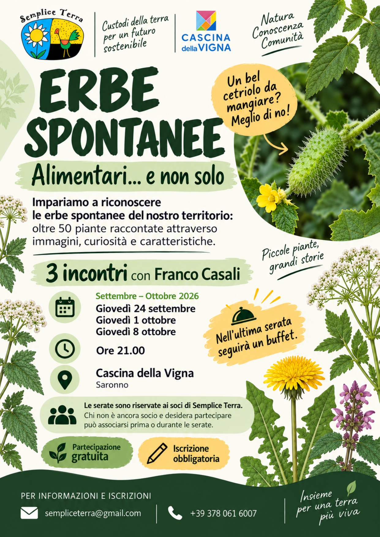 Erbe spontanee: alimentari... e non solo