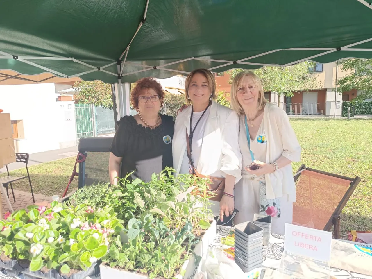 Il progetto Campo di Oz